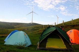 郴州露营爆料事件最新,揭秘神秘事件背后的真相与争议