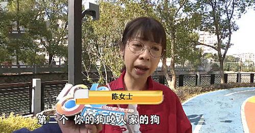 陈女士爱狗人士最新爆料,揭秘爱狗人士最新爱心行动