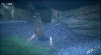 神秘人bug最新爆料图片,揭秘隐藏在图片背后的惊人秘密